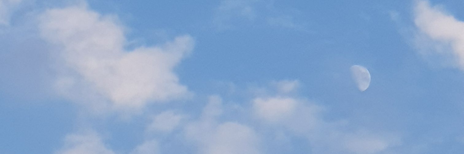 saycroon's profile banner image