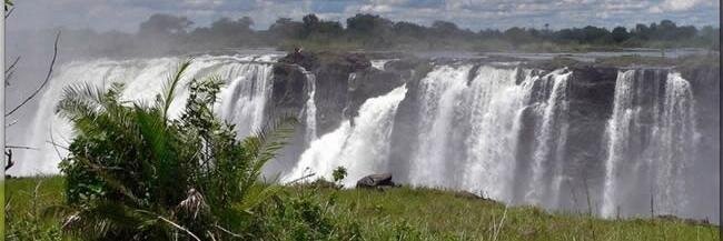 Shakabara's profile banner image