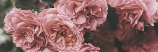___Blancaaa's profile banner image