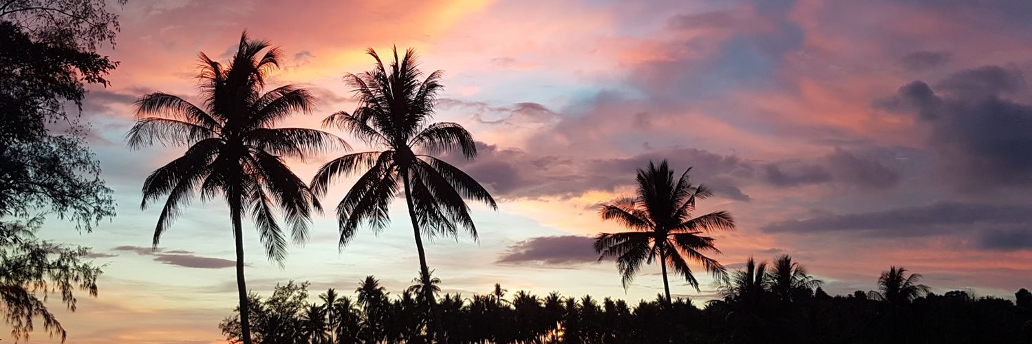 Paula Murray-Mower banner