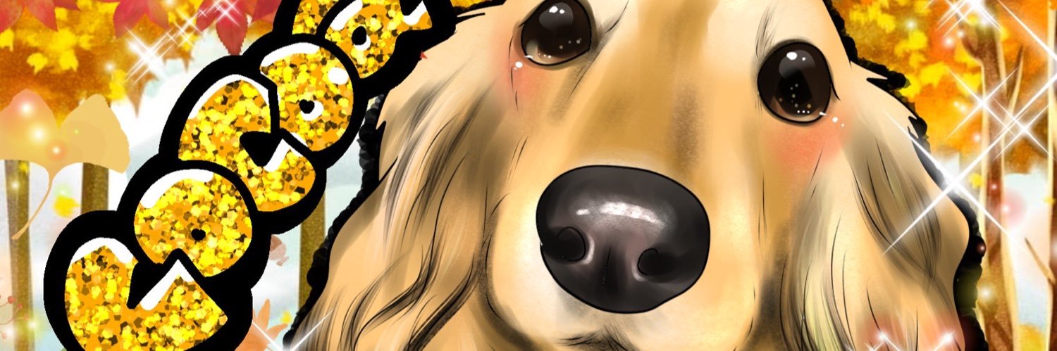 aym__1128's profile banner image