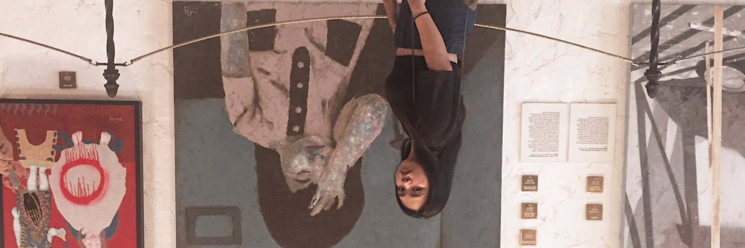 siaaldea_'s profile banner image