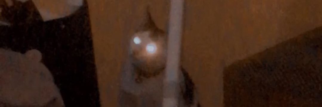 phiggledy's profile banner image