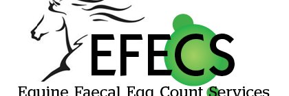 efecsltd's profile banner image
