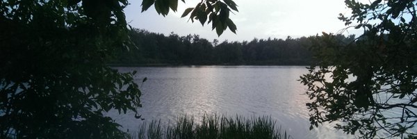 Dave_Becker_ Profile Banner