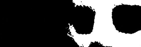 PhUNK aka Puni Vini banner