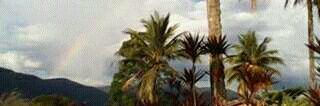 Matilde3MS's profile banner image