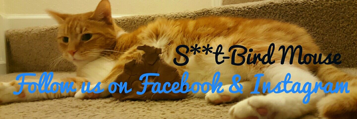 TheSBMouse's profile banner image