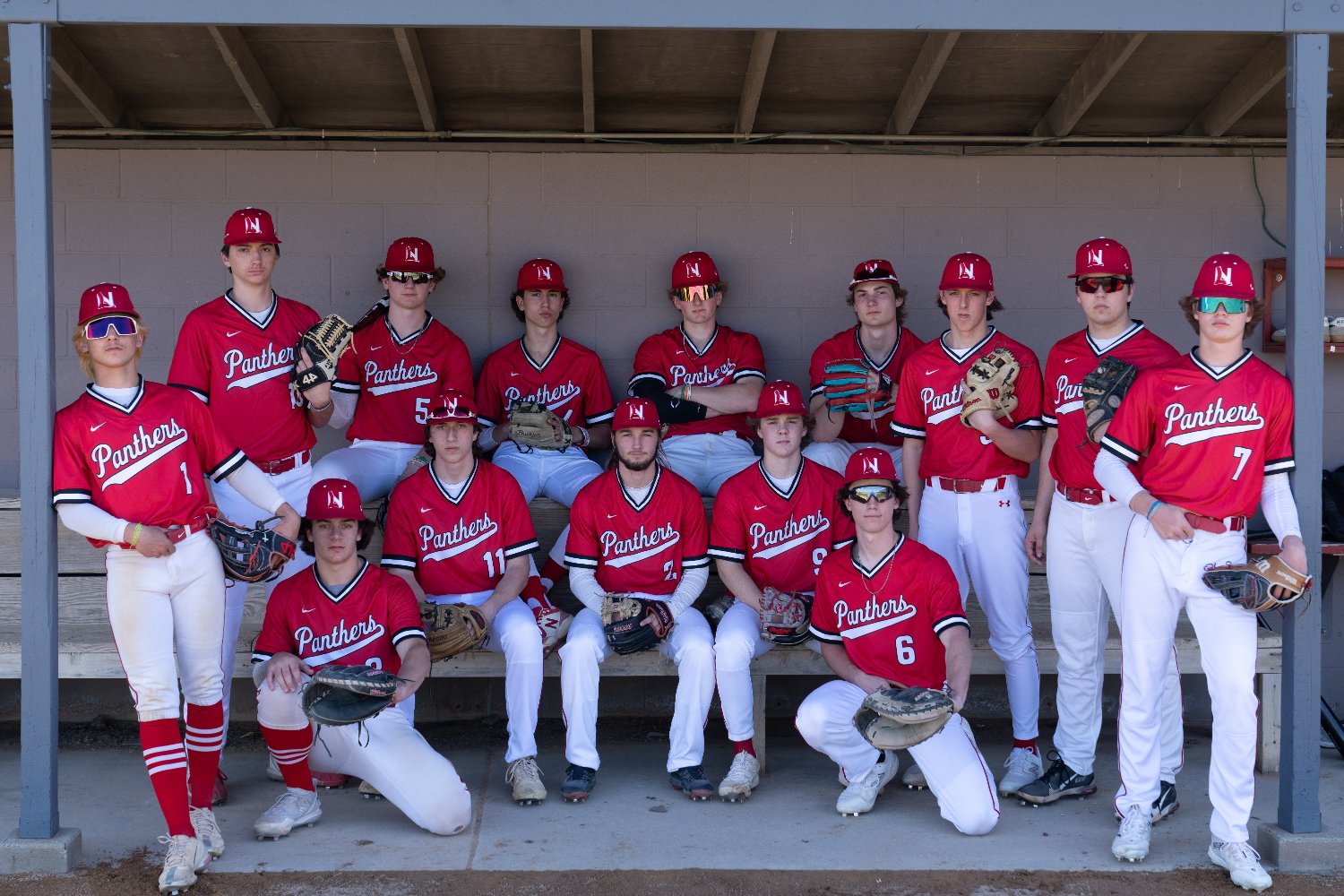 Lakeville North Baseball Boosters's banner