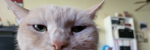 EmmanDaBomb Profile Banner