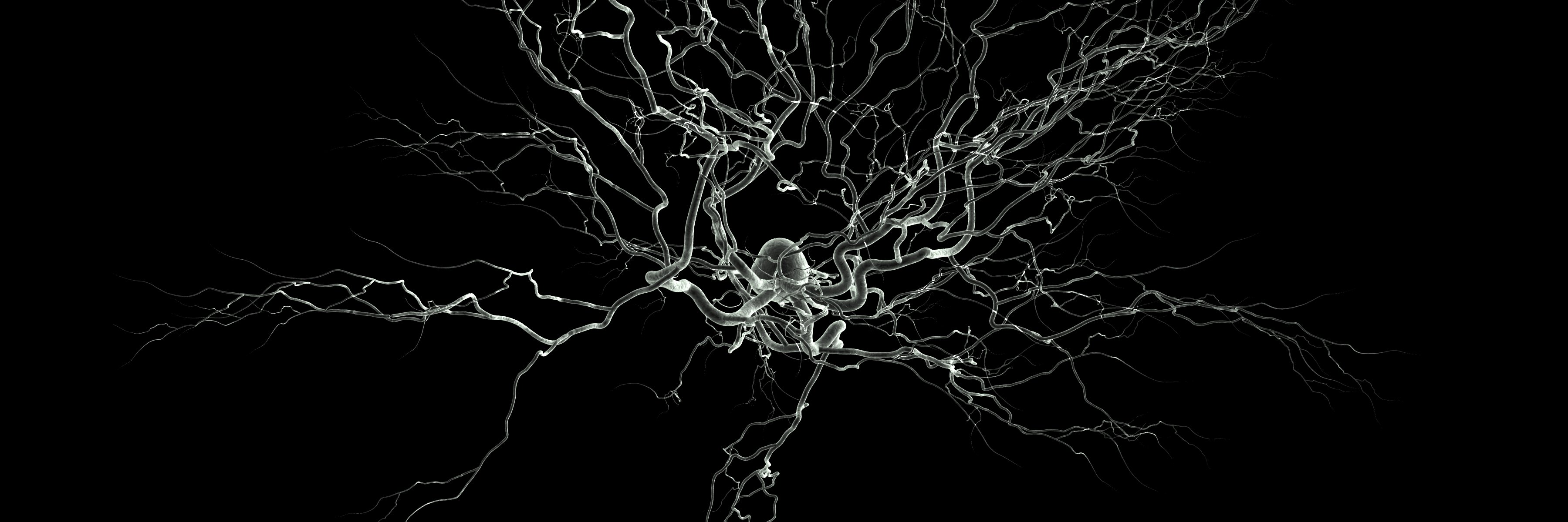 GRC Eye Movements's banner