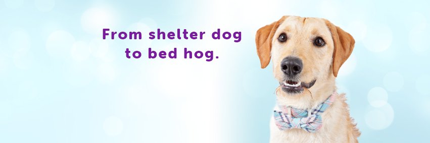 Utah Humane banner