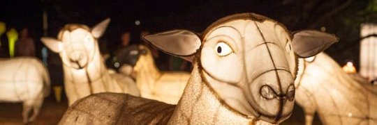 The Hyperreal Kelly Rankin banner