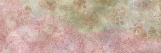 🌙 banner