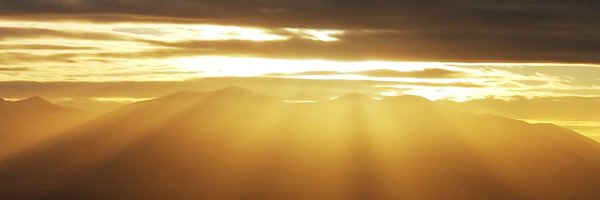 xedbee Profile Banner