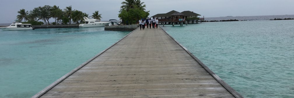 Morris Pentel banner