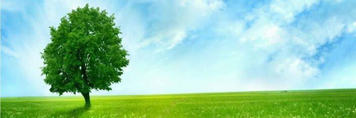 raoguru1978's profile banner image
