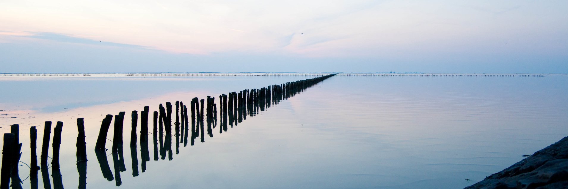 Arjen R. Goodijk banner