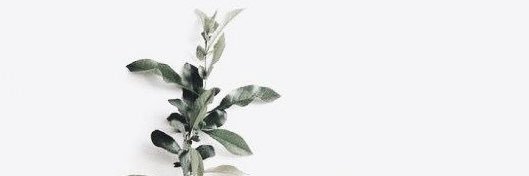 nihalisst's profile banner image