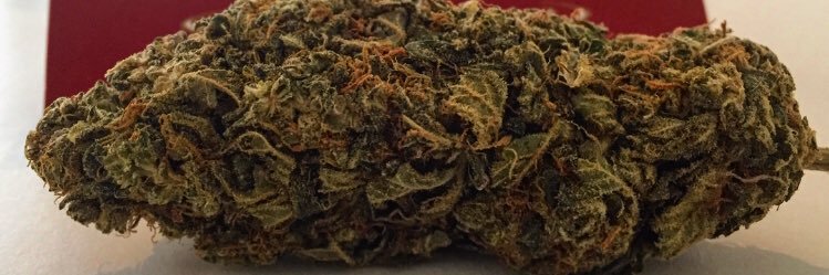 DailyWeeds's profile banner image