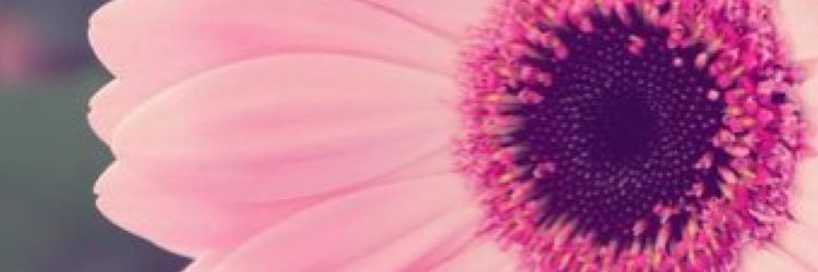marykate617's profile banner image