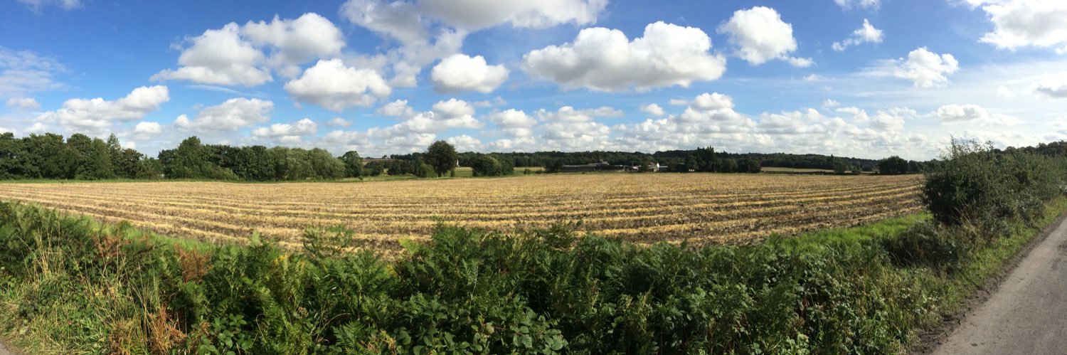 brassey36's profile banner image