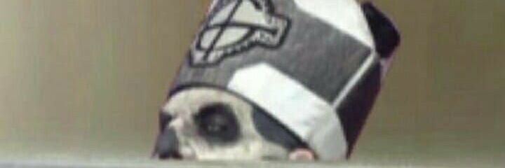 kitkatqueen24's profile banner image