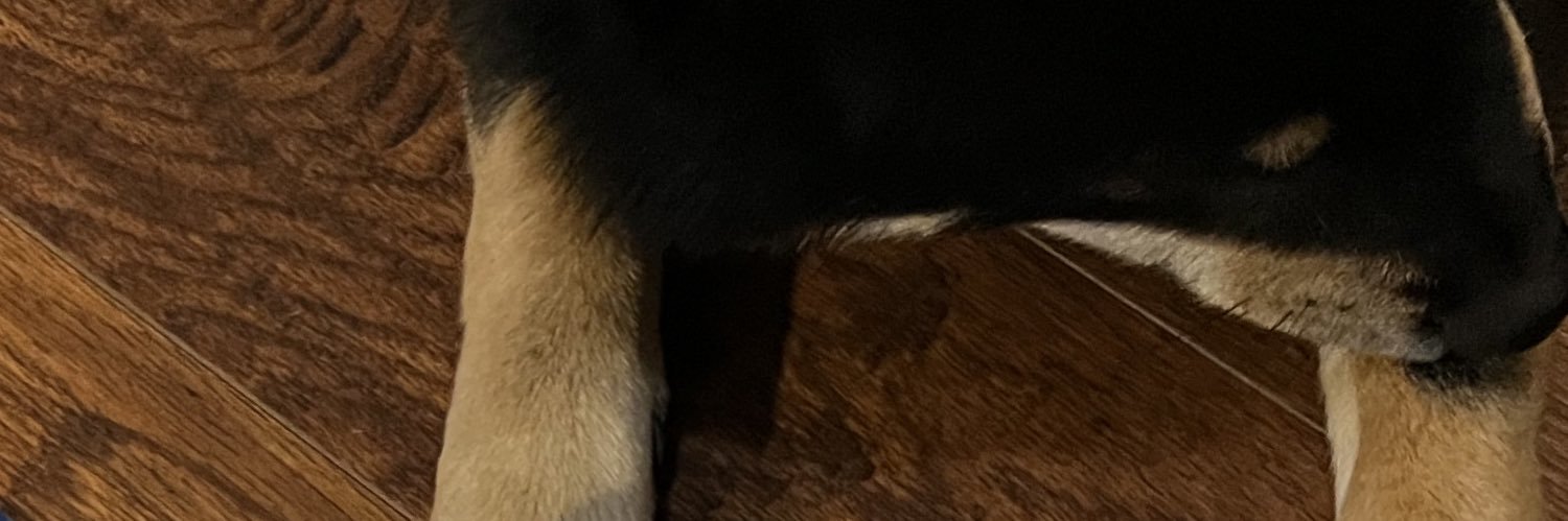 LSSSXu's profile banner image
