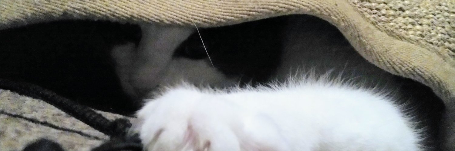 Stuart Barrett banner