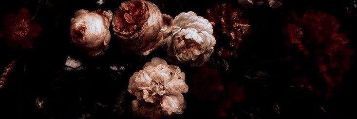 G. banner