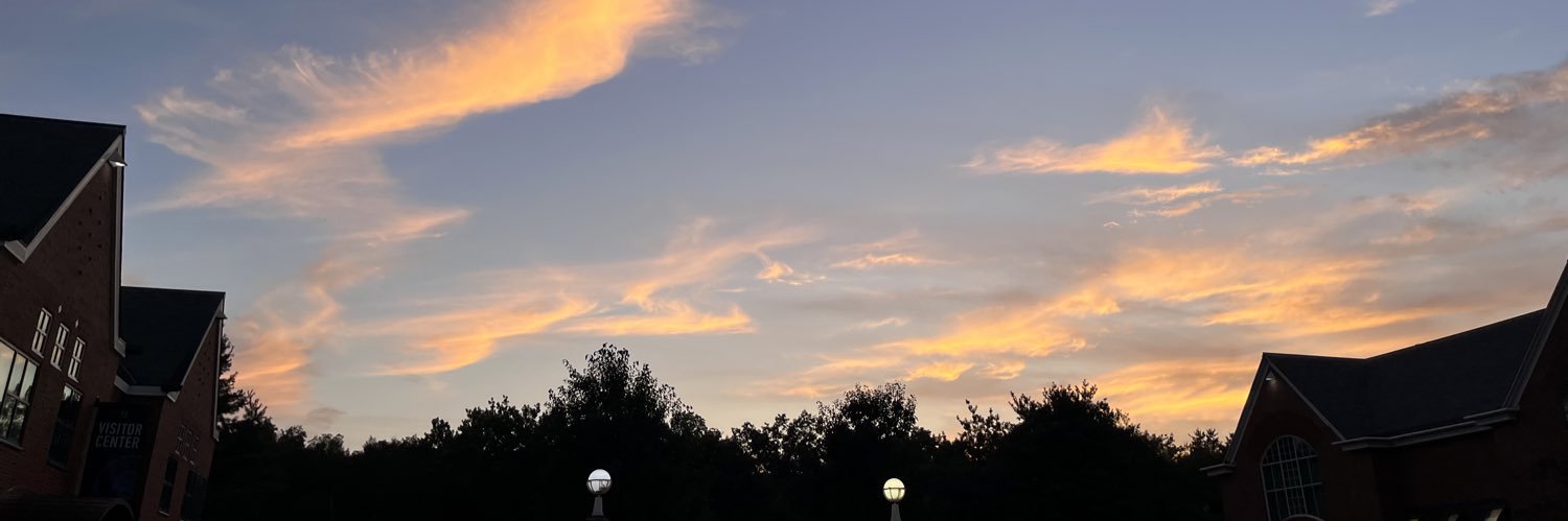 ragnello_'s profile banner image