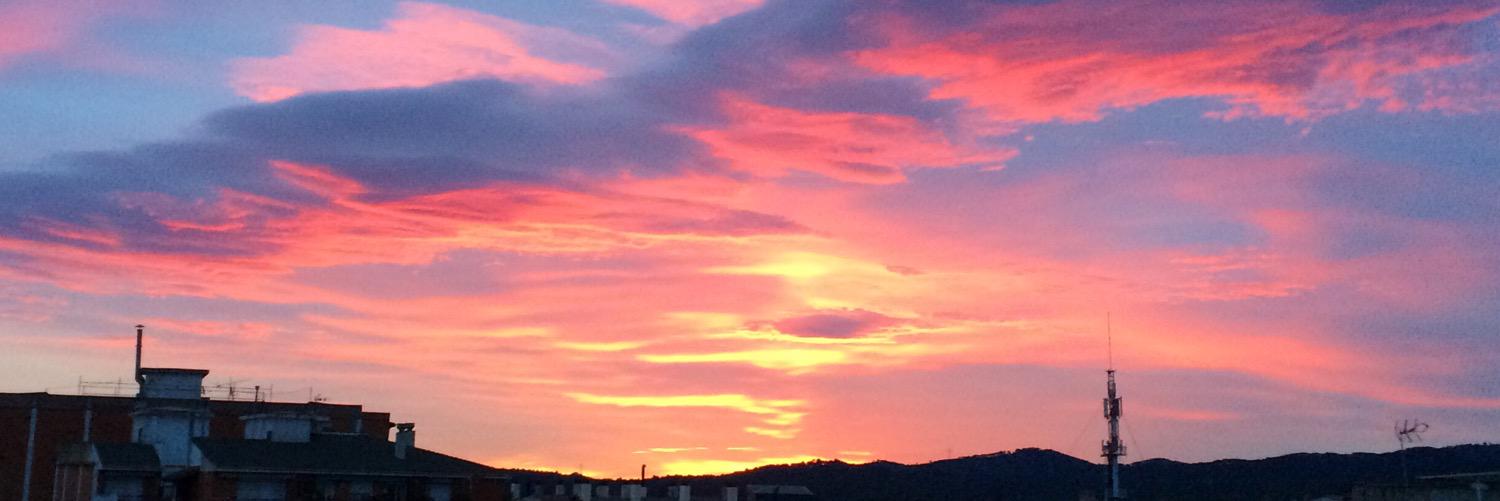 Martí Romaní banner