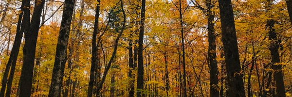 AnnetteGH86 Profile Banner