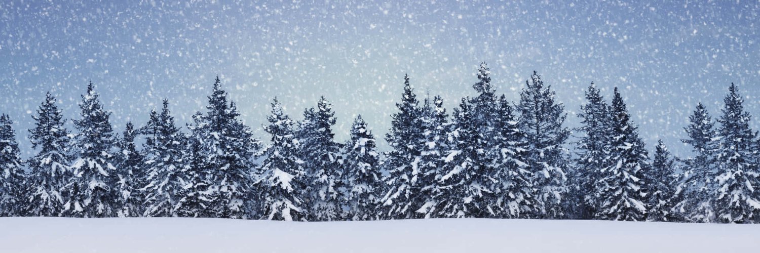 Cryodrake🏳️‍🌈 banner