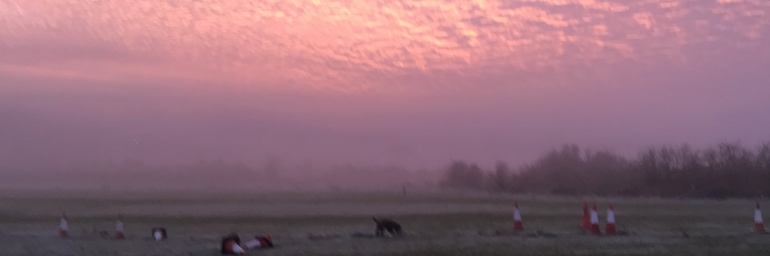 gili79's profile banner image