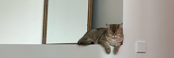 badtedss Profile Banner