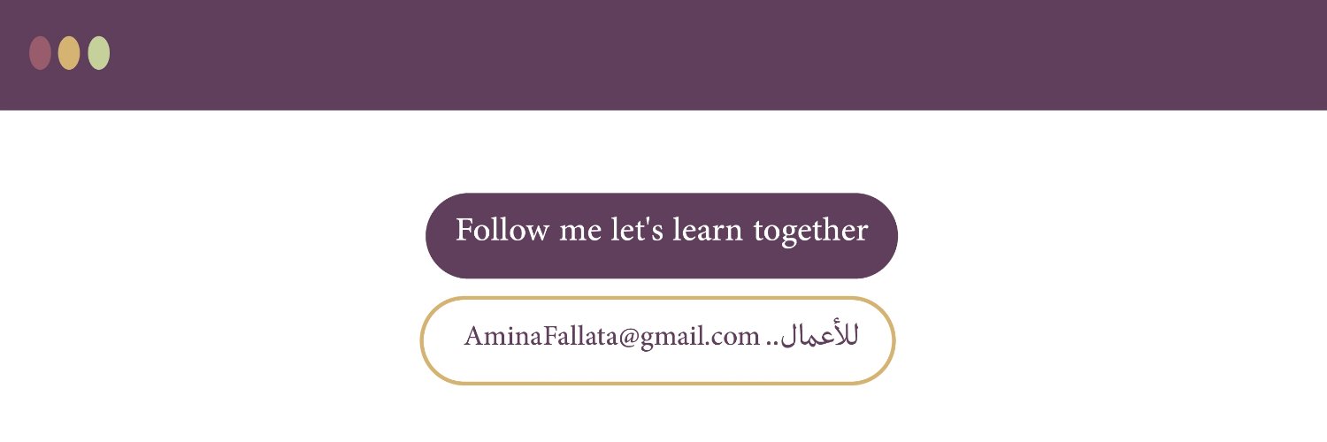 AminaFallata's profile banner image