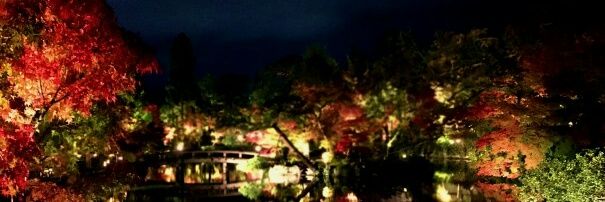 1024J7's profile banner image