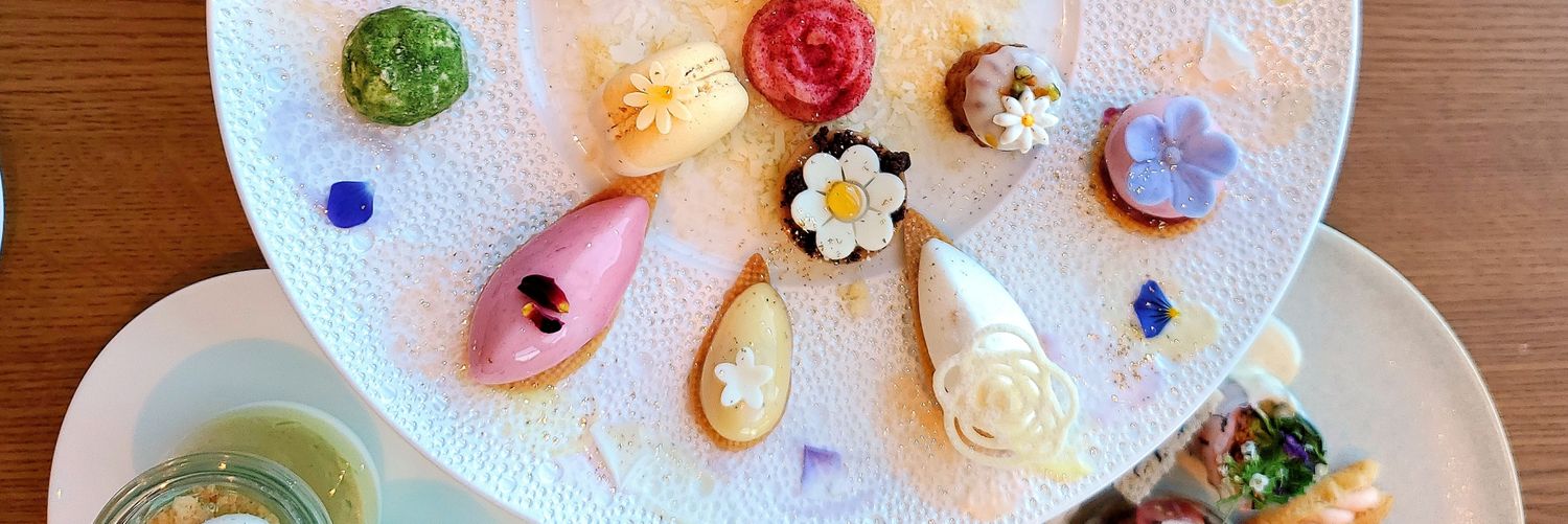 みるみるっこ banner