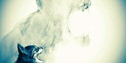 favao_19's profile banner image
