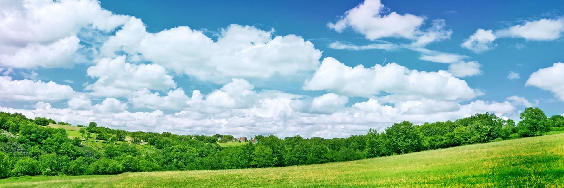 mrfakebread's profile banner image