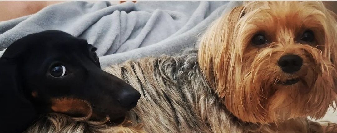 LordMarzix's profile banner image