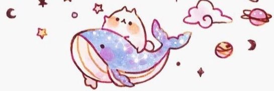 🌈𝐁𝐁𝐖𝐎𝐍𝐃𝐄𝐑 banner