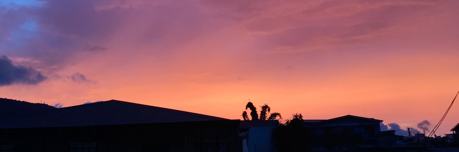 shellabeee_'s profile banner image