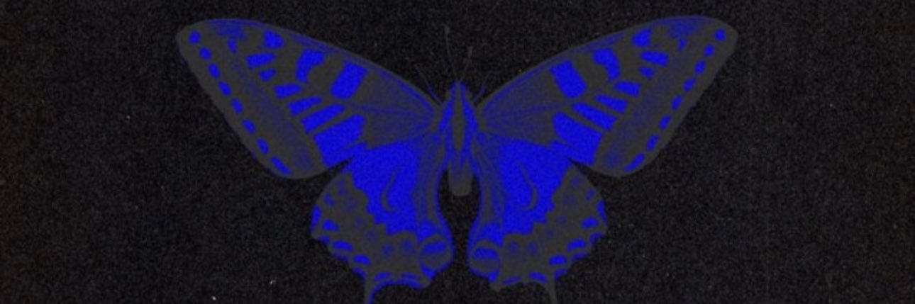 NatalieRae's profile banner image