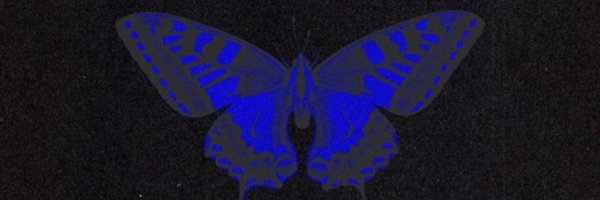 NatalieRae Profile Banner