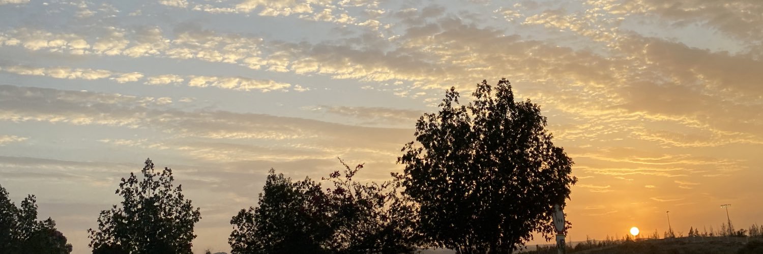 alshoheeb's profile banner image