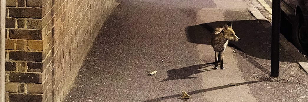 UrbanPhotoFest banner