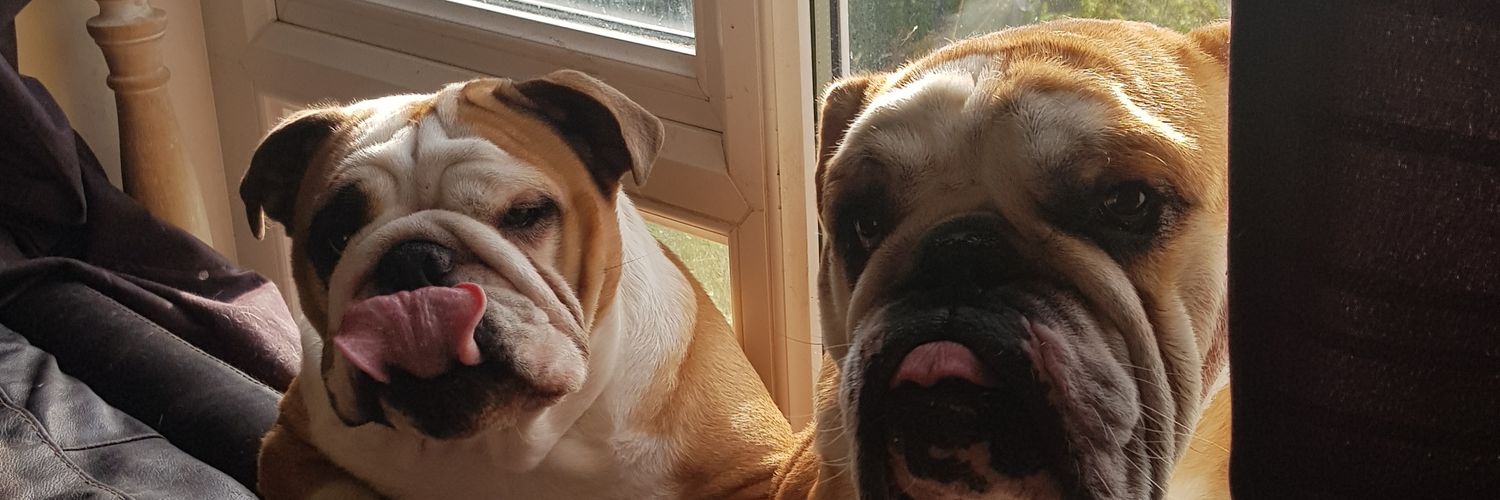 DumpyStig's profile banner image