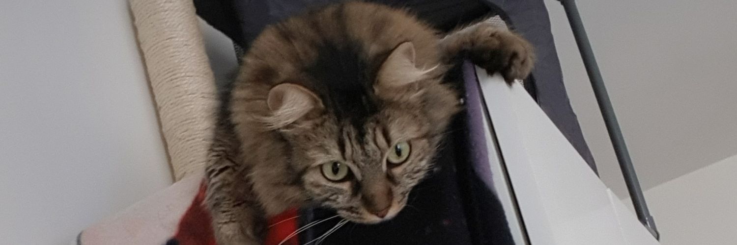 Donino58's profile banner image